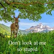 Don't look at me so stupid (Wall Calendar 2021 300 × 300 mm Square)