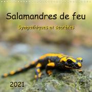 Salamandres de feu - Sympathiques et secrètes (Calendrier mural 2021 300 × 300 mm Square)