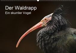 Der Waldrapp - Ein skurriler Vogel (Wandkalender 2021 DIN A2 quer)