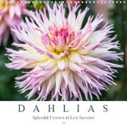 Dahlias - Splendid Flowers of Late Summer (Wall Calendar 2021 300 × 300 mm Square)