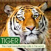 Tiger. The most beautiful big cats in the world (Wall Calendar 2021 300 × 300 mm Square)