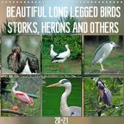 Beautiful longlegged birds (Wall Calendar 2021 300 × 300 mm Square)
