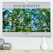 Aus//schnitte (Premium, hochwertiger DIN A2 Wandkalender 2021, Kunstdruck in Hochglanz)