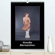 Venudia Sternzeichen - Aktfotografie (Premium, hochwertiger DIN A2 Wandkalender 2021, Kunstdruck in Hochglanz)