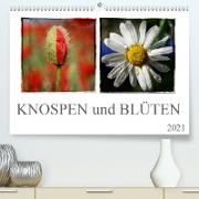 Knospen und Blüten (Premium, hochwertiger DIN A2 Wandkalender 2021, Kunstdruck in Hochglanz)
