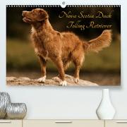 Nova Scotia Duck Tolling Retriever (Premium, hochwertiger DIN A2 Wandkalender 2021, Kunstdruck in Hochglanz)