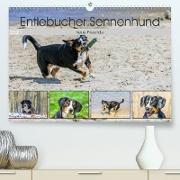 Entlebucher Sennenhund - treue Freunde (Premium, hochwertiger DIN A2 Wandkalender 2021, Kunstdruck in Hochglanz)