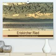 Eriskircher Ried - Naturschutzgebiet am Bodensee (Premium, hochwertiger DIN A2 Wandkalender 2021, Kunstdruck in Hochglanz)