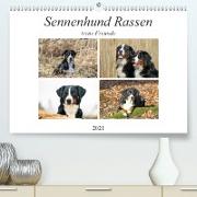 Sennenhund Rassen (Premium, hochwertiger DIN A2 Wandkalender 2021, Kunstdruck in Hochglanz)