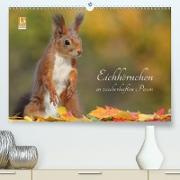 Eichhörnchen in zauberhaften Posen (Premium, hochwertiger DIN A2 Wandkalender 2021, Kunstdruck in Hochglanz)