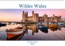 Wildes Wales (Wandkalender 2021 DIN A2 quer)
