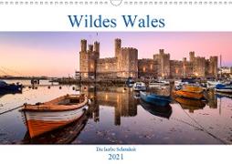 Wildes Wales (Wandkalender 2021 DIN A3 quer)