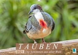 Tauben: die Schönsten aus aller Welt (Wandkalender 2021 DIN A2 quer)