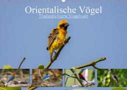 Orientalische Vögel - Thailands bunte Vogelwelt (Wandkalender 2021 DIN A2 quer)