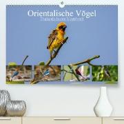 Orientalische Vögel - Thailands bunte Vogelwelt (Premium, hochwertiger DIN A2 Wandkalender 2021, Kunstdruck in Hochglanz)