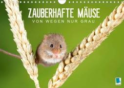 Zauberhafte Mäuse: Von wegen nur Grau (Wandkalender 2021 DIN A4 quer)