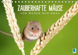 Zauberhafte Mäuse: Von wegen nur Grau (Tischkalender 2021 DIN A5 quer)