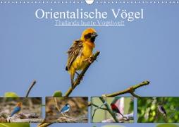 Orientalische Vögel - Thailands bunte Vogelwelt (Wandkalender 2021 DIN A3 quer)