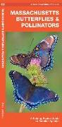 Massachusetts Butterflies & Pollinators: A Folding Pocket Guide to Familiar Species