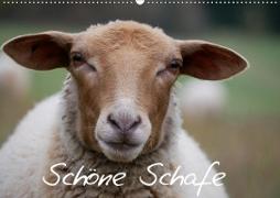 Schöne Schafe (Wandkalender 2021 DIN A2 quer)