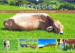 Weideviecher, Kühe liebevolle Wiederkäuer (Wandkalender 2021 DIN A2 quer)