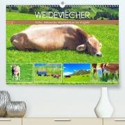 Weideviecher, Kühe liebevolle Wiederkäuer (Premium, hochwertiger DIN A2 Wandkalender 2021, Kunstdruck in Hochglanz)