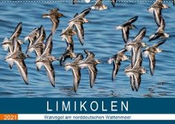 Limikolen - Watvögel am norddeutschen Wattenmeer (Wandkalender 2021 DIN A2 quer)