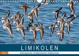 Limikolen - Watvögel am norddeutschen Wattenmeer (Wandkalender 2021 DIN A4 quer)