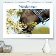 Pferdenasen (Premium, hochwertiger DIN A2 Wandkalender 2021, Kunstdruck in Hochglanz)