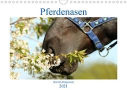 Pferdenasen (Wandkalender 2021 DIN A4 quer)