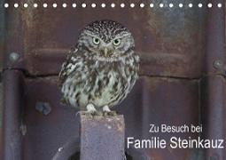 Zu Besuch bei Familie Steinkauz (Tischkalender 2021 DIN A5 quer)