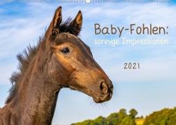 Baby-Fohlen: sonnige Impressionen (Wandkalender 2021 DIN A2 quer)