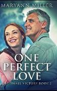 One Perfect Love