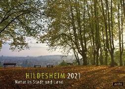 Hildesheim 2021 (DIN A3-Wandkalender)