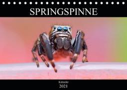 Springspinne Kalender (Tischkalender 2021 DIN A5 quer)