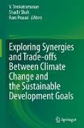 Exploring Synergies and Trade-Offs Between Climate Change and the Sustainable Development Goals