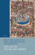 The City in the Islamic World (2 Vols.)