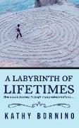 A Labyrinth of Lifetimes