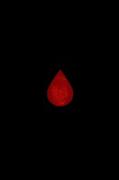 Bleed