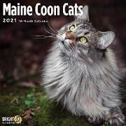 Cal 2021- Maine Coon Cats Wall