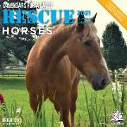 Cal 2021- Rescue Horses Wall