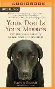 Your Dog Is Your Mirror: The Emotional Capacity of Our Dogs and Ourselves