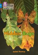 Hidden Bugs