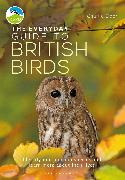 The Everyday Guide to British Birds