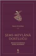 Sems - Mevlana Dostlugu Benlik Duvarindan Kerpic Koparmak