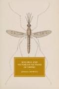 Malaria and Victorian Fictions of Empire