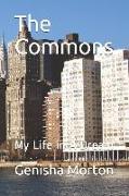 The Commons: My Life in a Dream