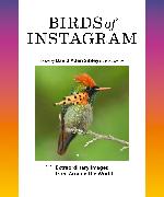 Birds of Instagram