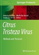 Citrus Tristeza Virus