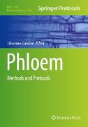 Phloem